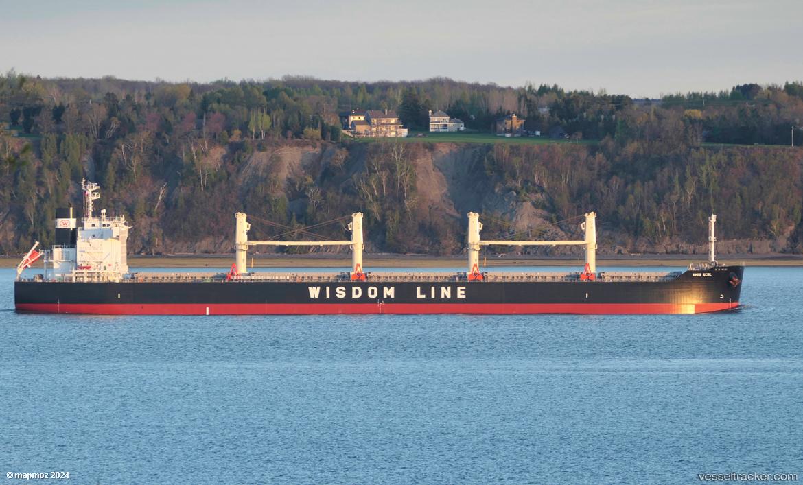 Amis-Xcel - Bulk Carrier vessel