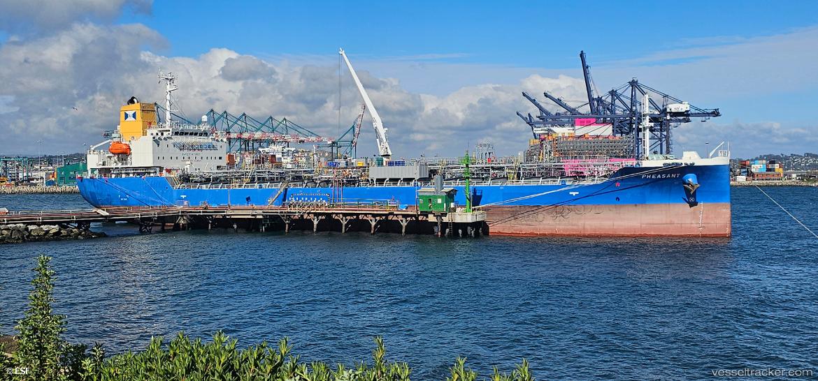 Pheasant - Oil Products Tanker vessel
