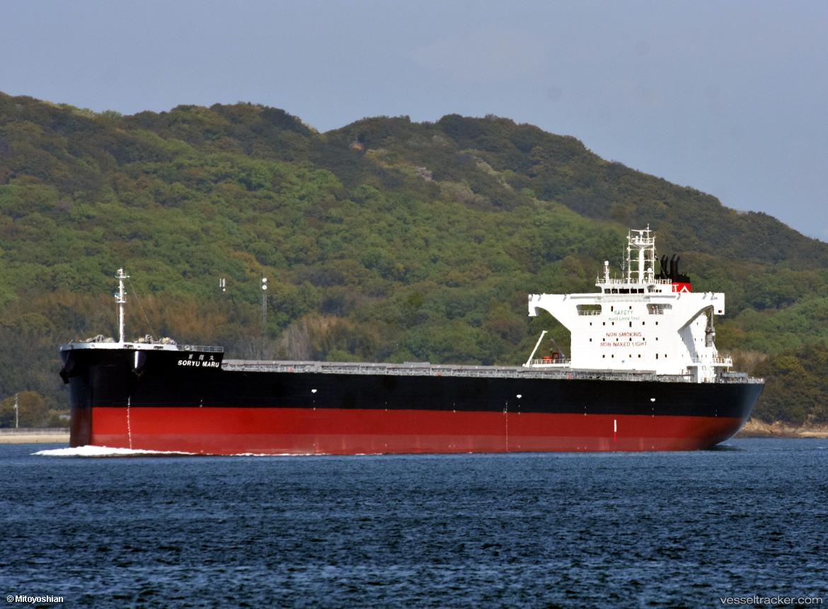 Soryu-Maru - Bulk Carrier vessel