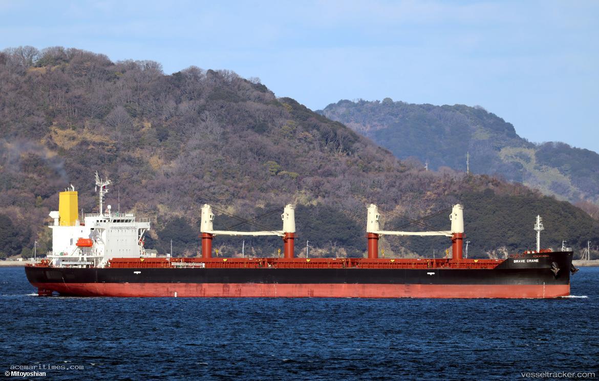 Brave-Crane - Bulk Carrier