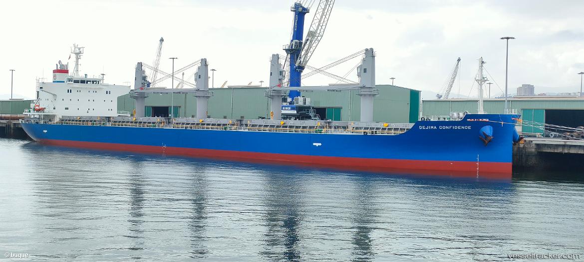 Dejima-Confidence - Bulk Carrier vessel