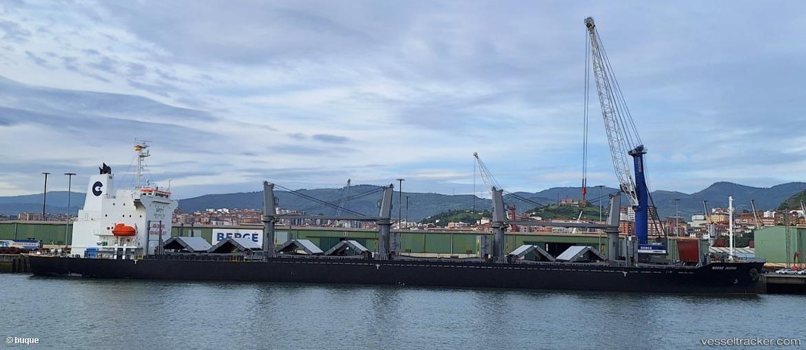 Norse-Ikuchi - Bulk Carrier vessel