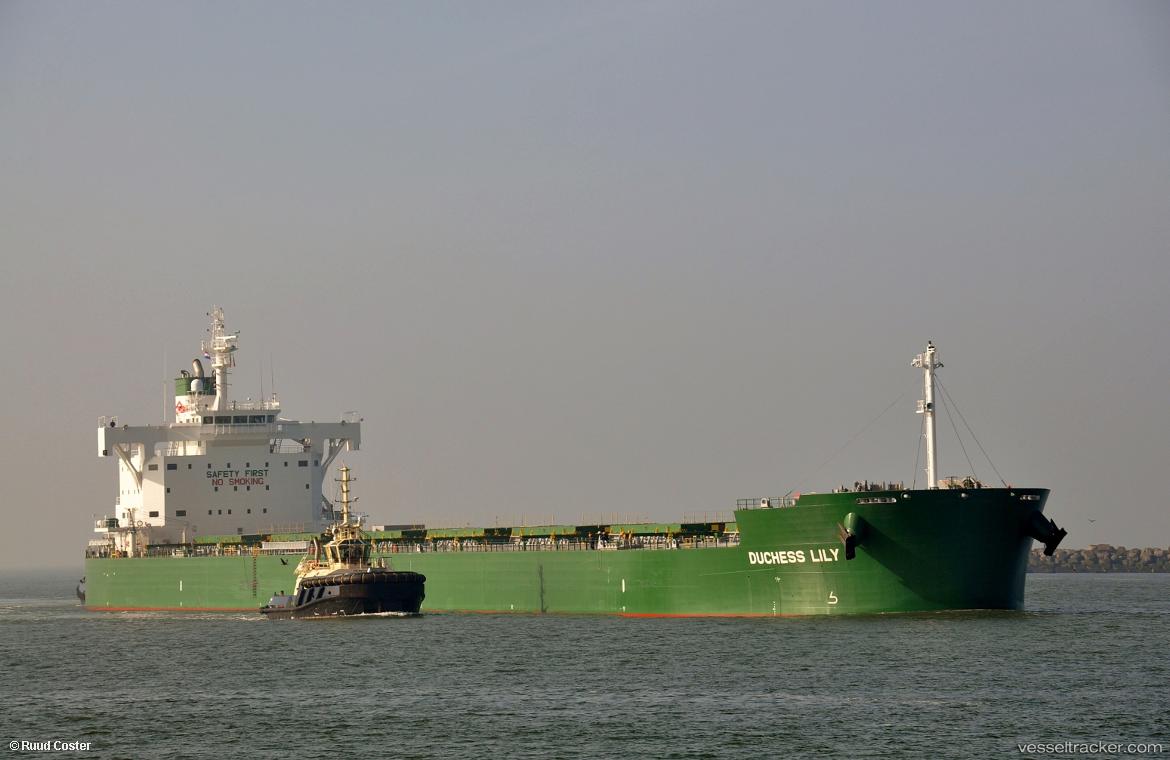 Duchess-Lily - Bulk Carrier vessel